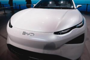 Lo sviluppo del business BYD