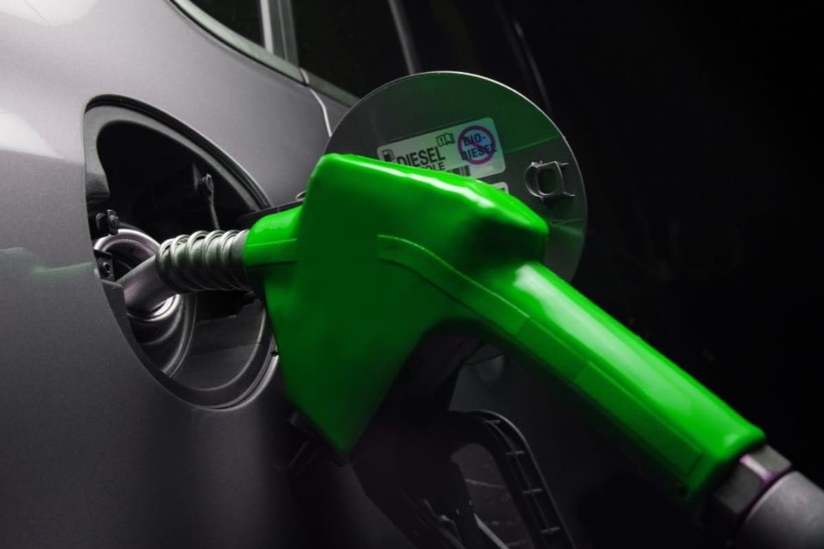 Bio-carburanti il colosso ci crede