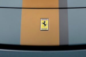 Ferrari perde olio ovunque